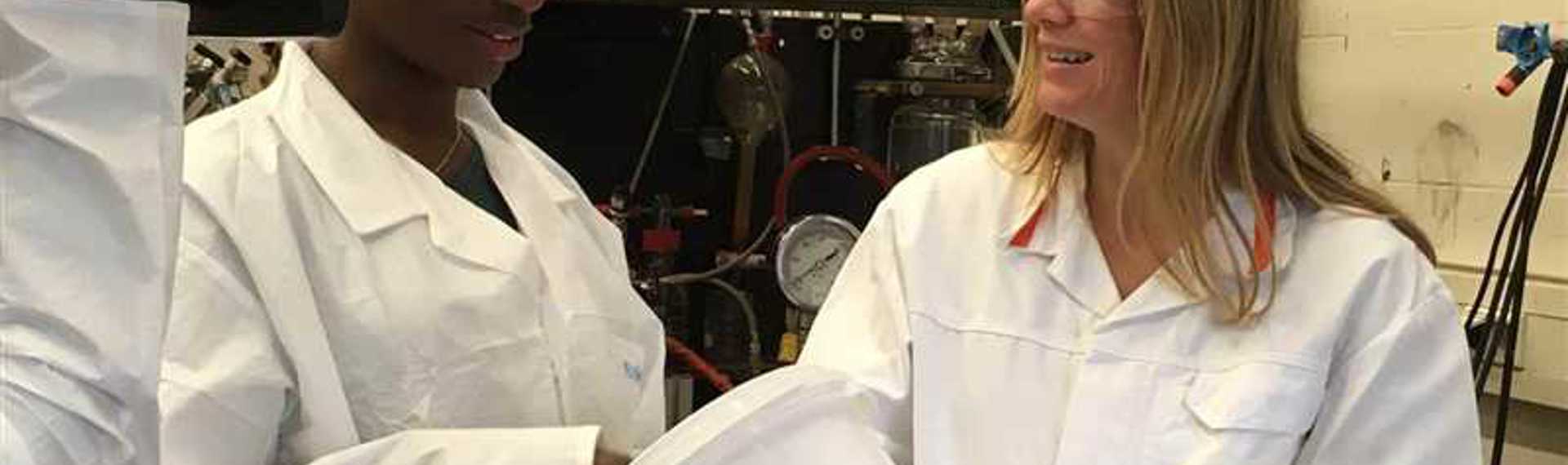 Biorizon in Bergen op Zoom maakt duurzame grondstoffen voor de chemische industrie