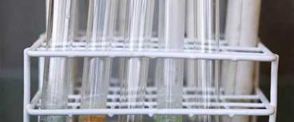 Biobased economie op de Green Chemistry Campus in Bergen op Zoom