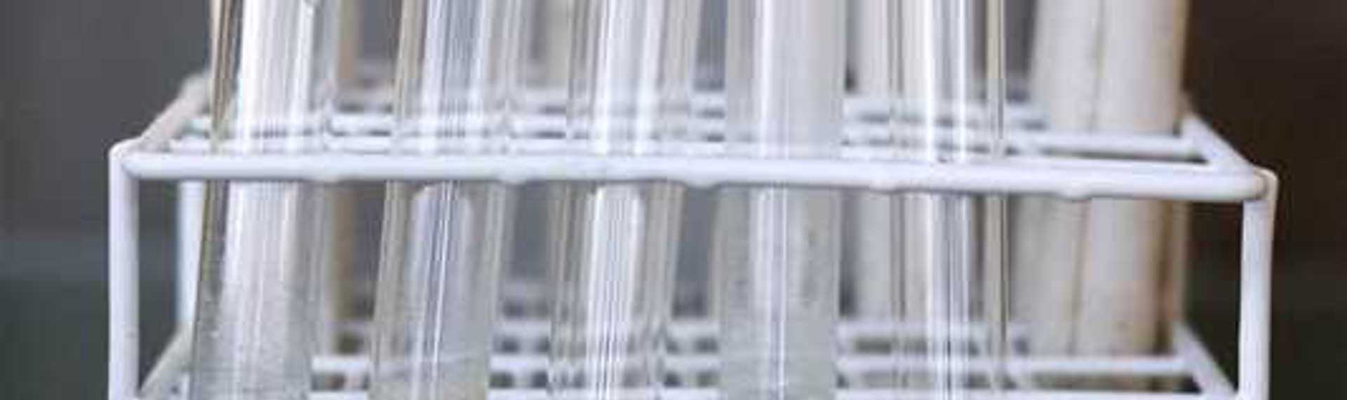 Biobased economie op de Green Chemistry Campus in Bergen op Zoom