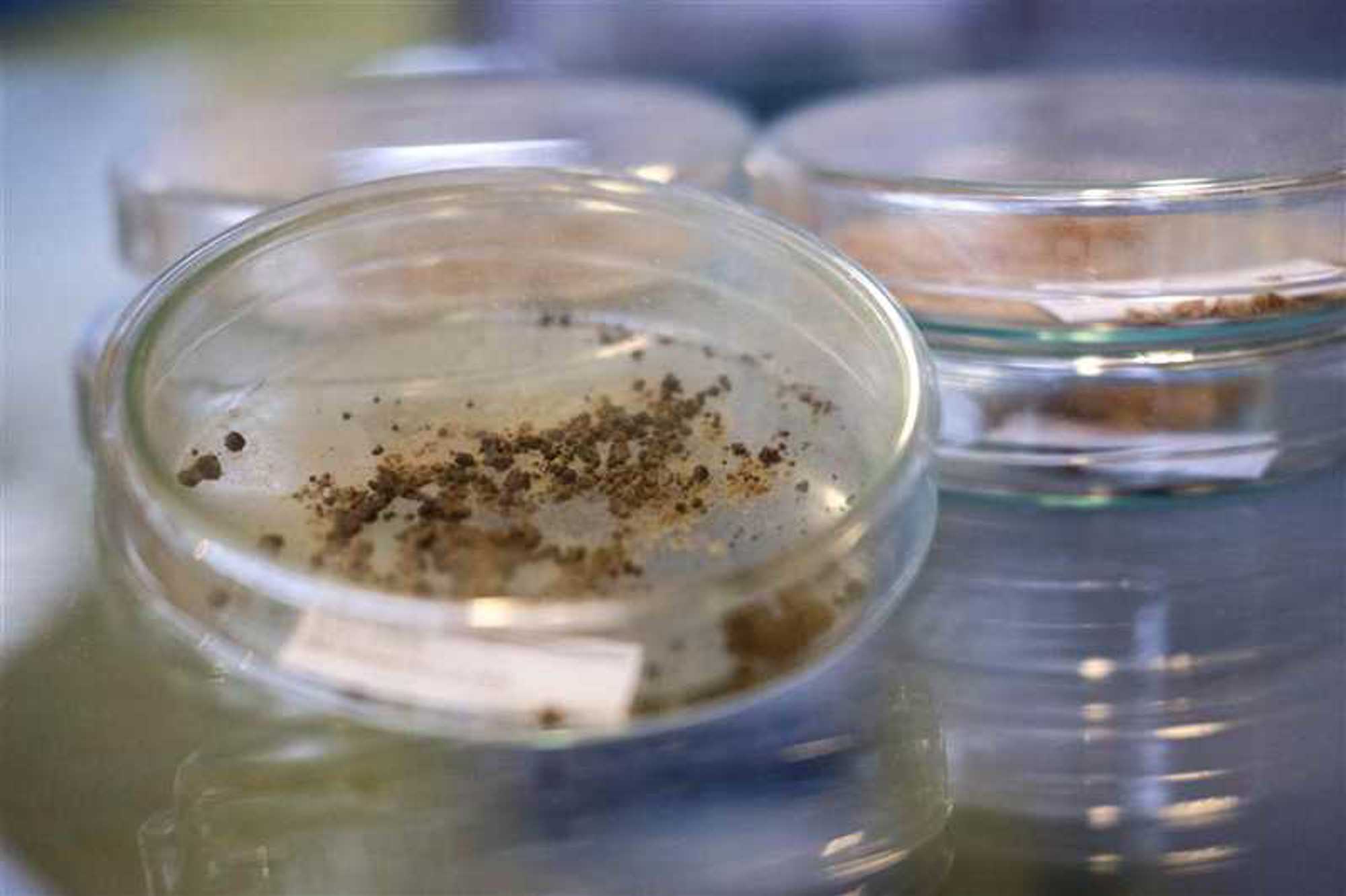 Biobased economie op de Green Chemistry Campus in Bergen op Zoom