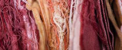 De natuurlijke kleurstoffen van Rubia, Steenbergen