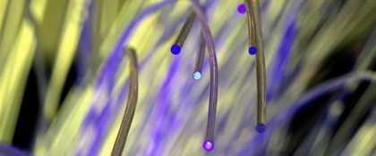 Het belang van de fotonica is voor Ewit Roos onomstreden