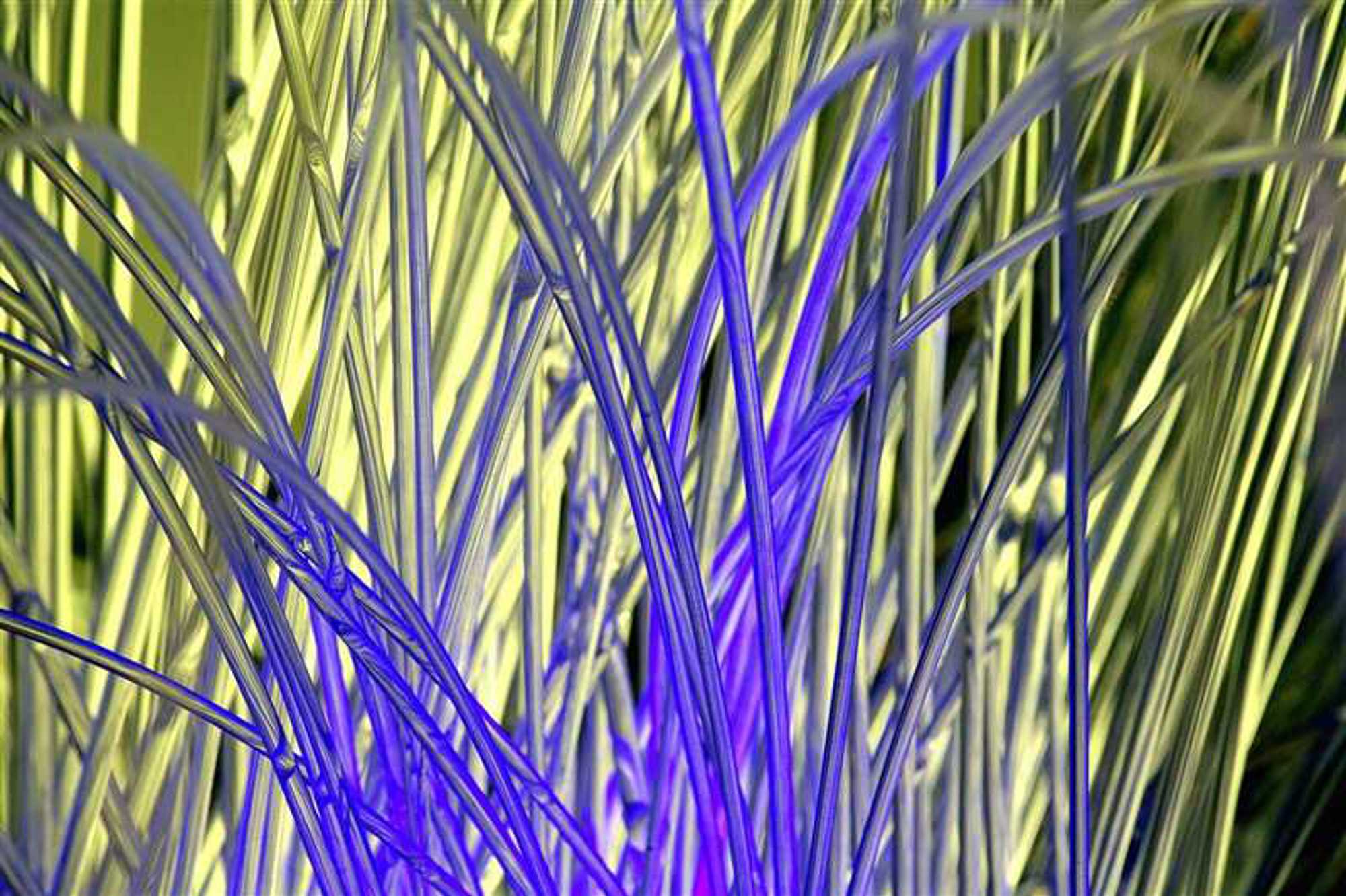 PhotonDelta wil wereldwijd leider worden in geïntegreerde fotonica systemen