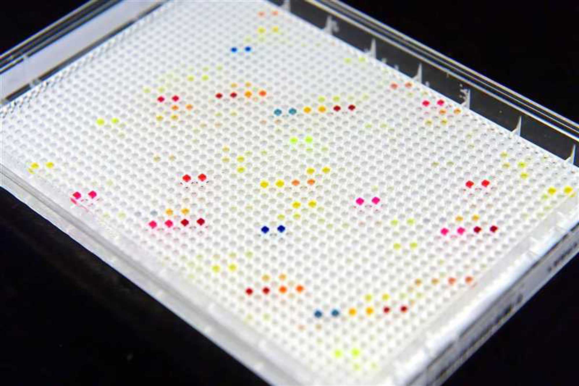 Het robotsysteem van het Pivot Park Screening Centre versnelt de innovatie van geneesmiddelen