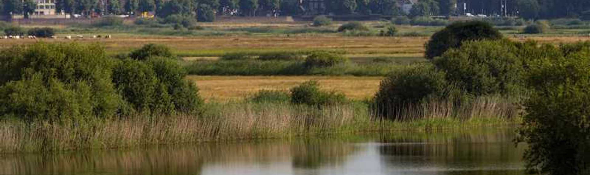 Het Bossche Broek 's-Hertogenbosch