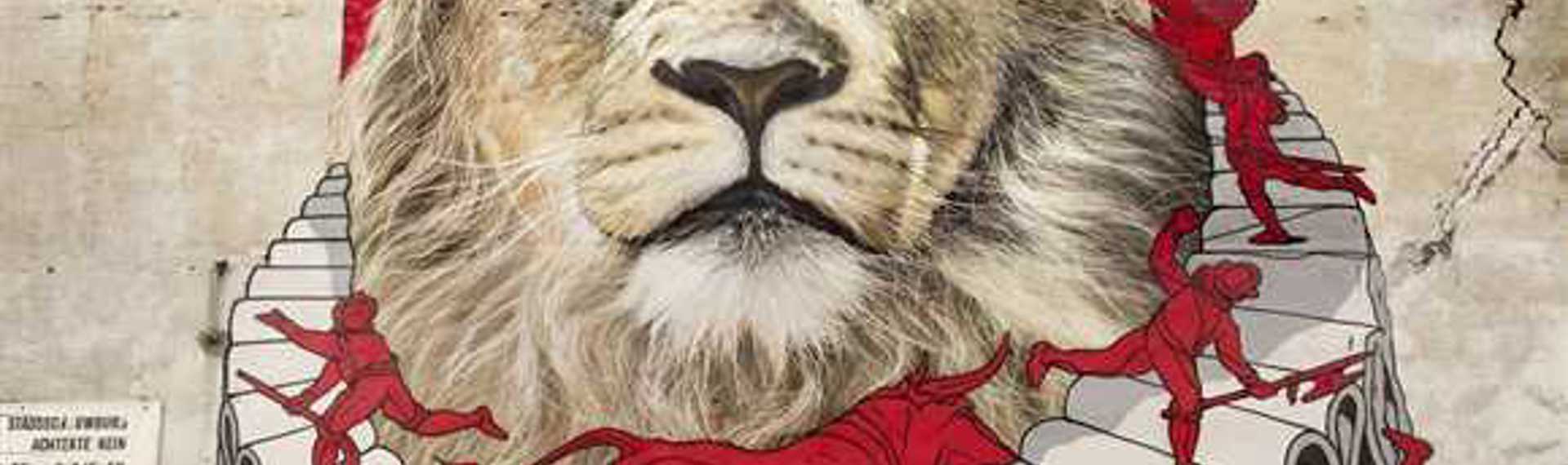 Muurschildering Leeuw - Blind Walls Gallery