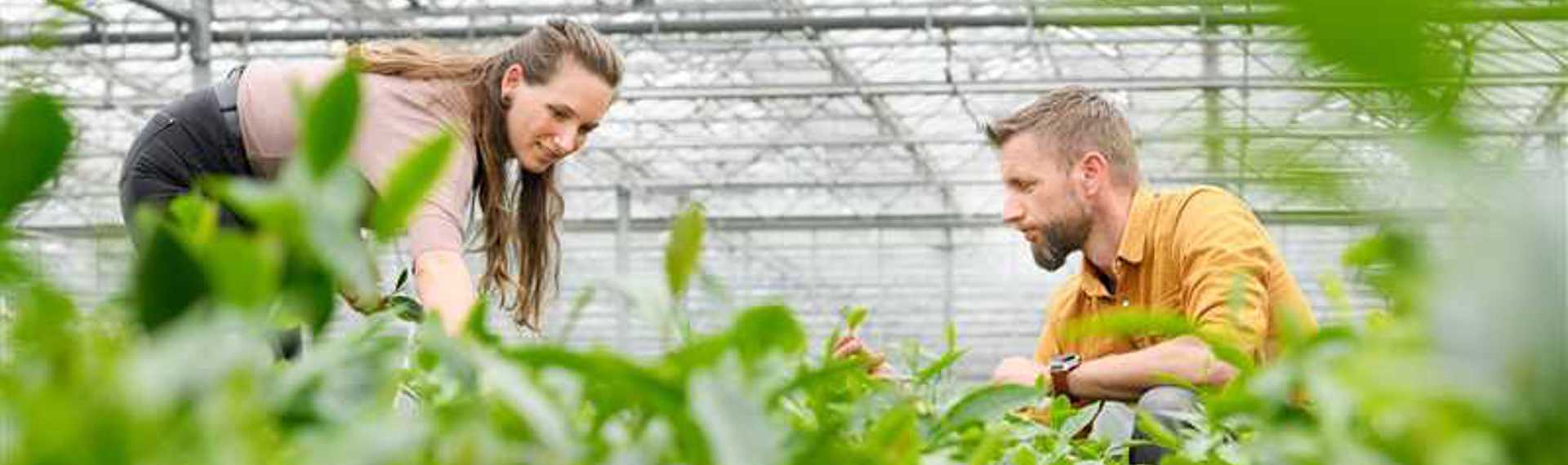 Dionne Oomen en Johan Jansen, LocalTea Zundert